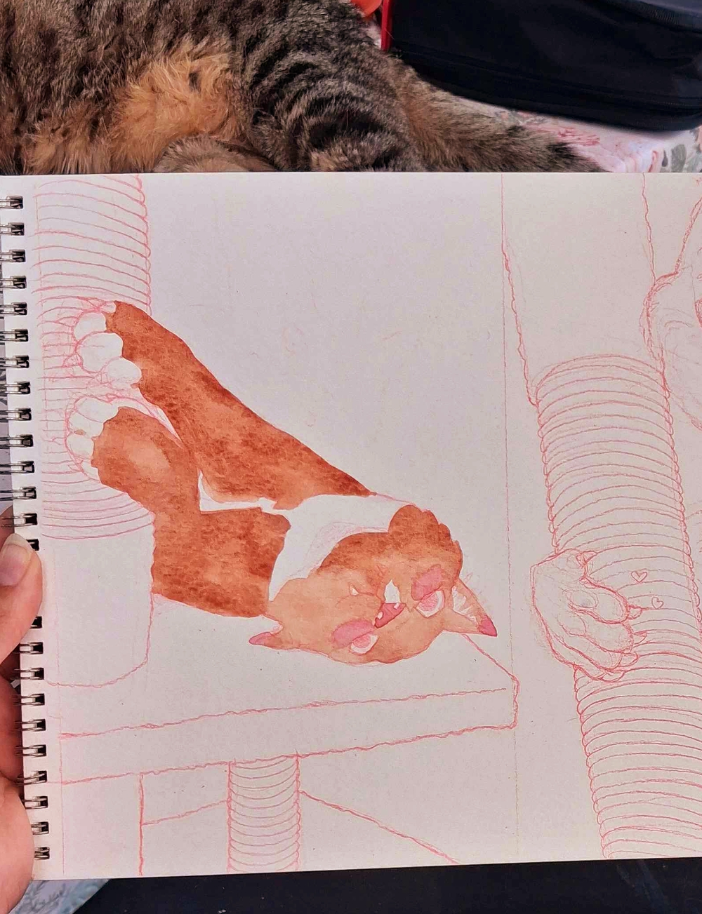 🌿 Playful Kitty 🐈