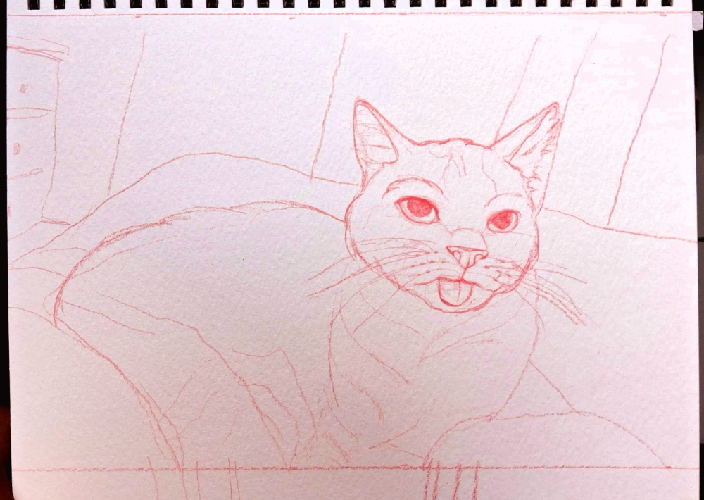 A pencil sketch of an orange tabby cat lying on a patterned quilt. The outlines show the cat’s relaxed pose and the folds of the blanket beneath him.