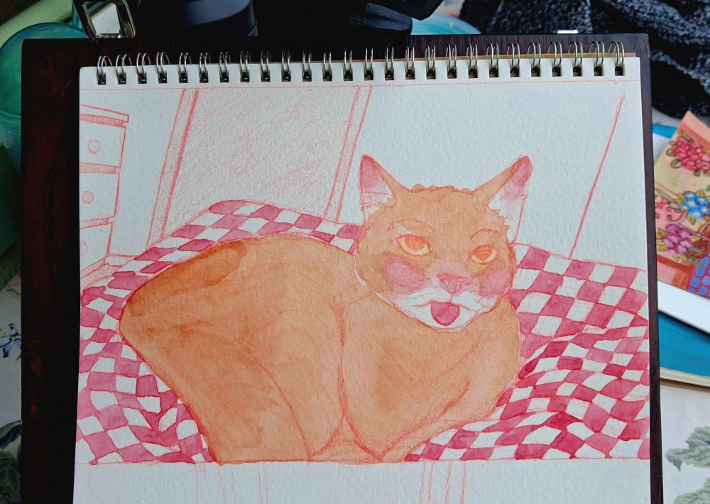 The same sketch with early watercolor layers added. Soft orange and pink tones begin to define the cat’s fur and the quilt, while the background remains mostly blank.