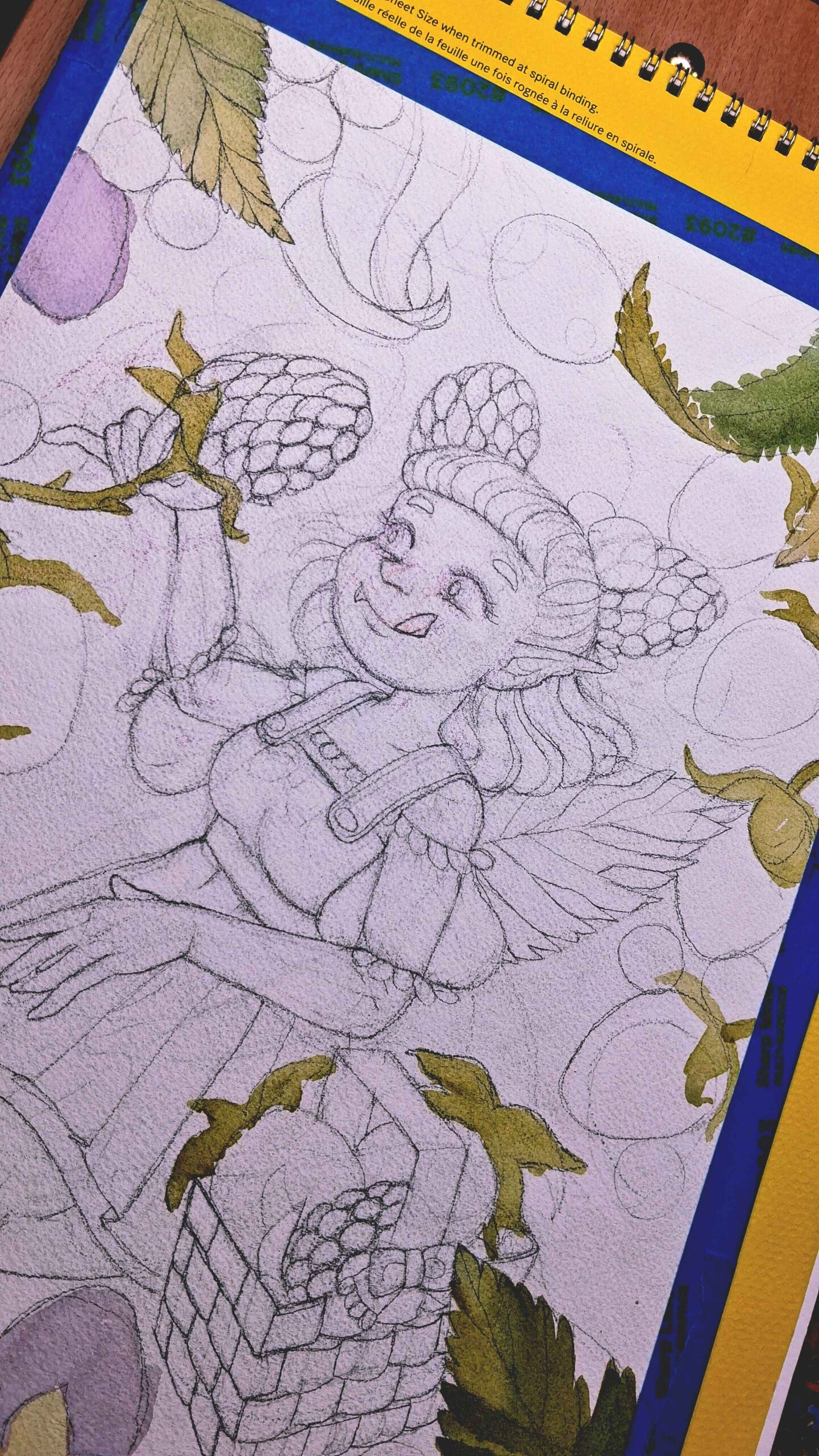 🍇Blackberry Fairy🍇